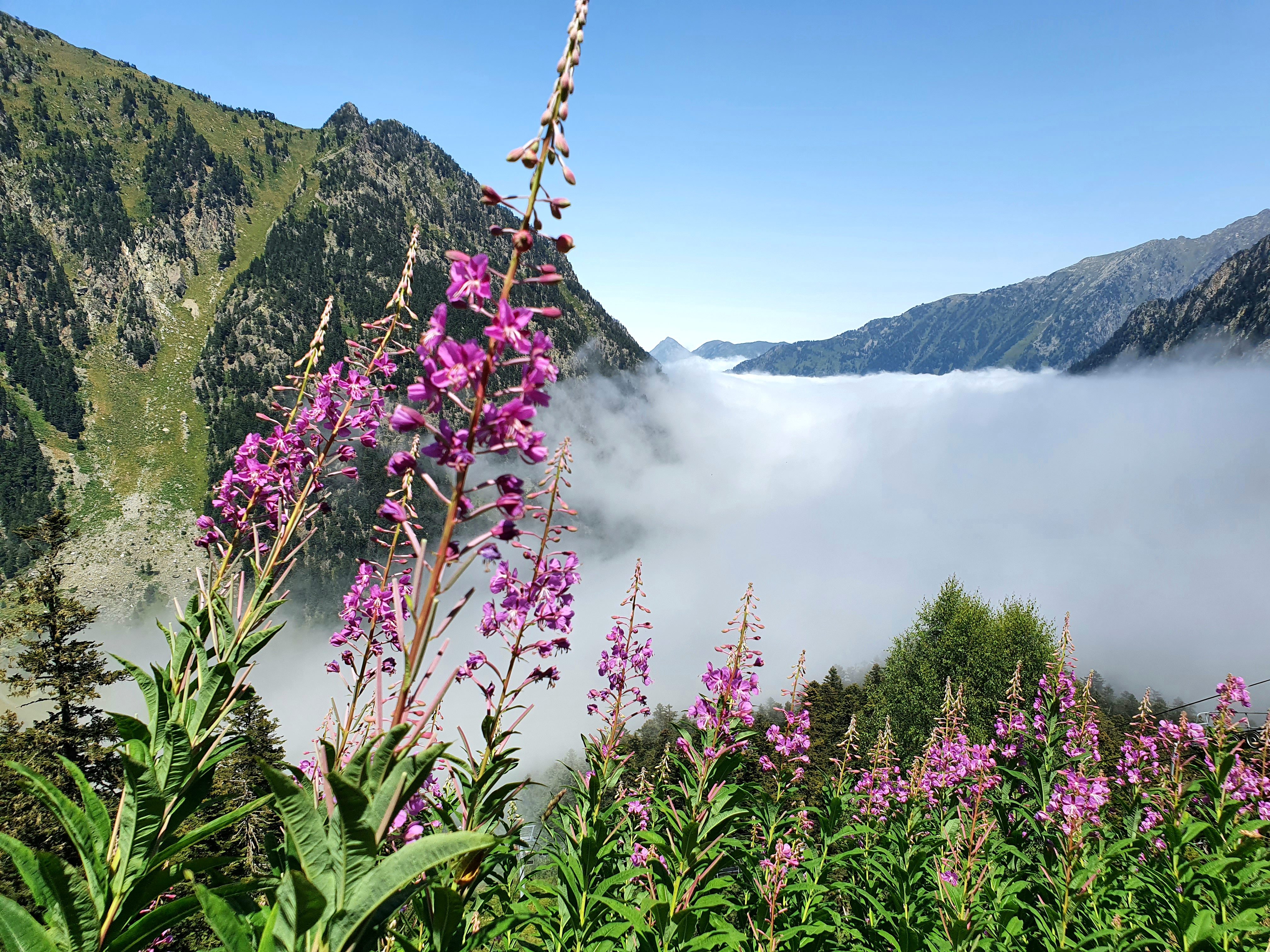 L'atelier de (Ma)Rion